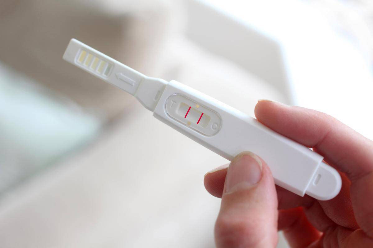 فوائد استخدام جهاز تحليل الحمل المنزلي