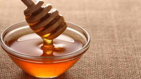 فوائد عسل المانوكا ولماذا يعتبر من أفضل أنواع العسل؟
